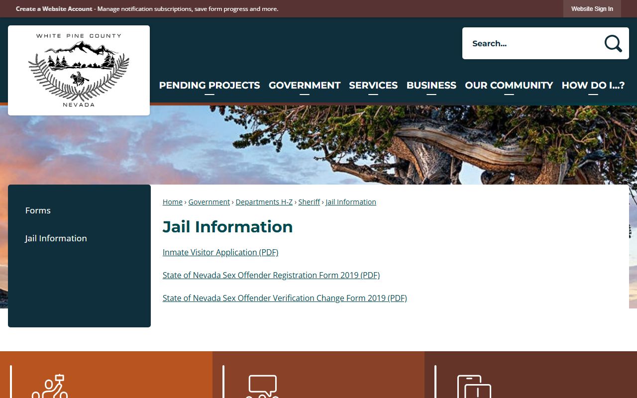 White Pine County Jail Information page with visitor application link